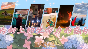 為向上的生命力而感動.png